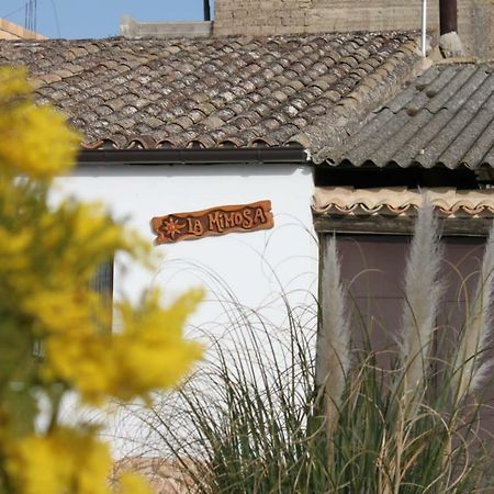 La Mimosa Βίλα Carcastillo Εξωτερικό φωτογραφία