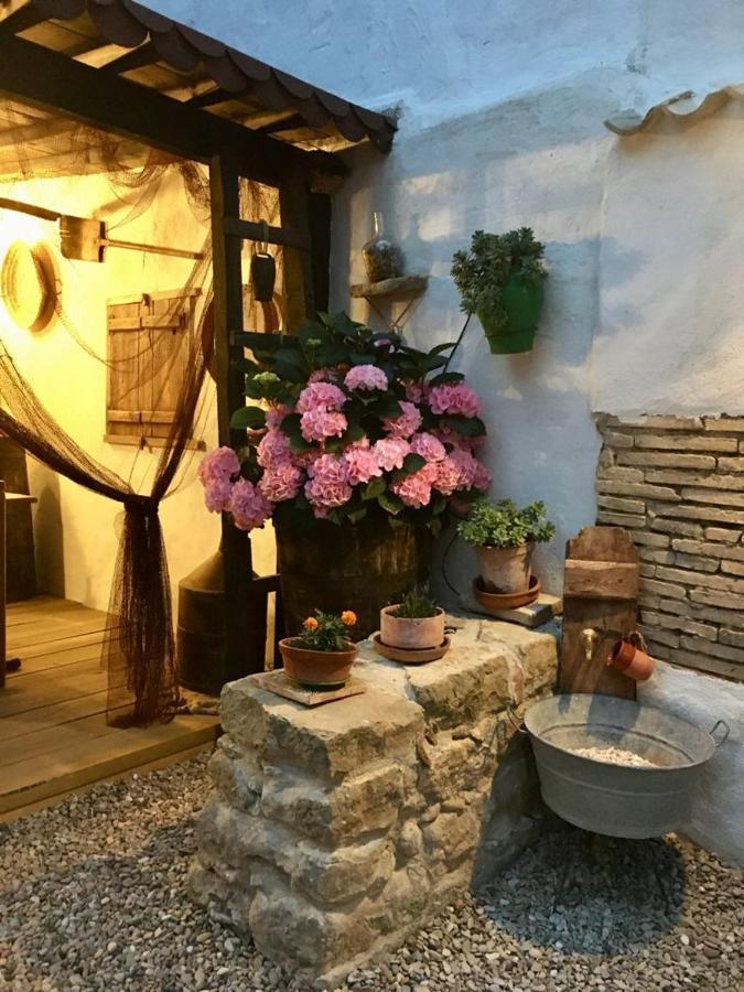 La Mimosa Βίλα Carcastillo Εξωτερικό φωτογραφία